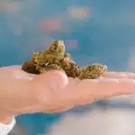 CBD