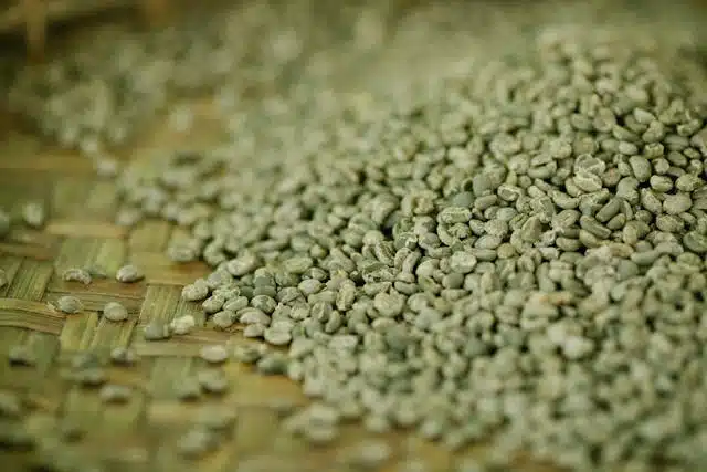 Zoom sur la torréfaction de café