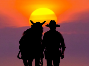 cowboy avec son chapeau et son cheval