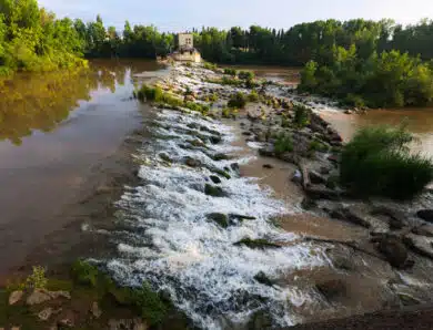 Surveillance niveau des cours d’eau : les bonnes pratiques pour les collectivités