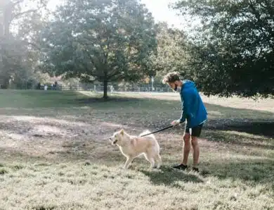 Tenues et accessoires pratiques pour les hommes lors des promenades avec leur chien