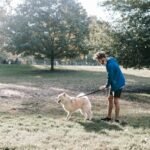 Mode homme : tenues et accessoires pour promenades chien