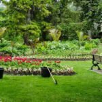 Jardin verdoyant avec fleurs rouges, pelouse, banc et outils de jardinage