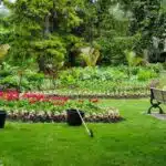 Jardin verdoyant avec fleurs rouges, pelouse, banc et outils de jardinage